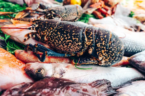 Fresh lobster and sea fish on a market table. Fish from the atlantic ocean.