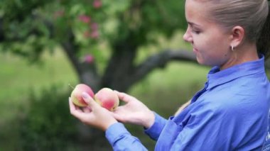 Genç bir kız olgun kırmızı elmaları ellerinde tutuyor. Organik yiyecekler.