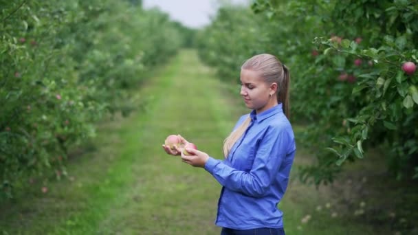 Het Meisje Appelboomgaard Wordt Gespeeld Met Appels Haar Handen — Stockvideo