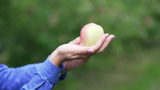 花园里一只雌鸟手里拿着新鲜多汁的成熟苹果 — 图库视频影像