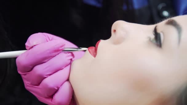 Preparation Procedure Permanent Makeup Drawing Lip Contour Brush Girl Face — Stock Video