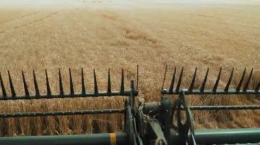 Biçici biçici mekanizması tarlada buğday topluyor. Taksinin manzaradır..