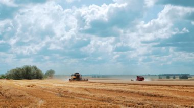 Hasat tarlasında tarım işi. Buğday biçme makinelerini birleştirin..