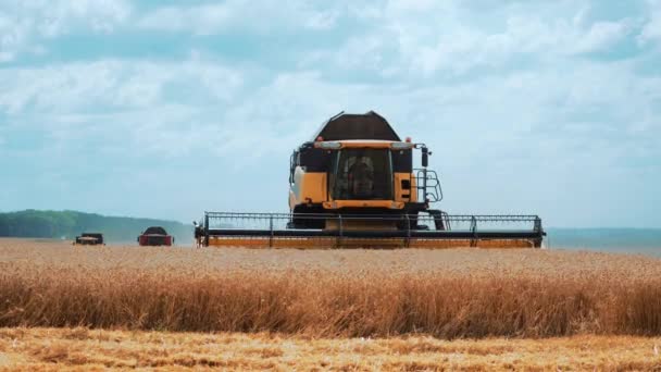 Agricultural Yellow Modern Combine Harvester Reaper Wheat Field Harvesting Grain — Stock Video
