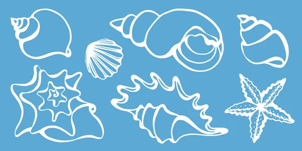 Conjunto de silhuetas de conchas do mar. Ilustração vetorial —  Vetores de Stock