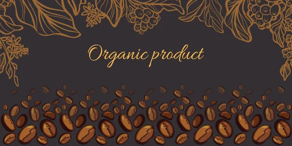 Yaprak, çiçek ve kahve çekirdekleri ile kahve ağacı dalı. Vektör şablonu