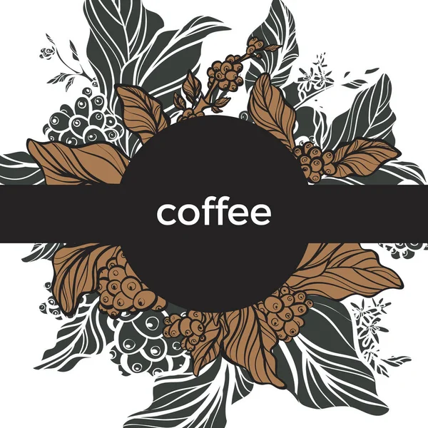 Sjabloon. Koffie tak met bladeren en koffiebonen. Retro-stijl. Vector — Stockvector