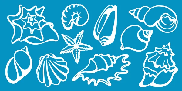 Conjunto de conchas marinhas sobre um fundo azul. Mundo submarino. Linha de vetores —  Vetores de Stock