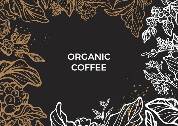 Zweig eines Kaffeebaumes mit Blättern, Blüten und Kaffeebohnen. Vektorvorlage — Stockvektor