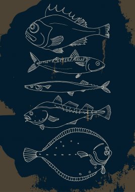 Deniz balığı kümesi. Vektör doodle. 
