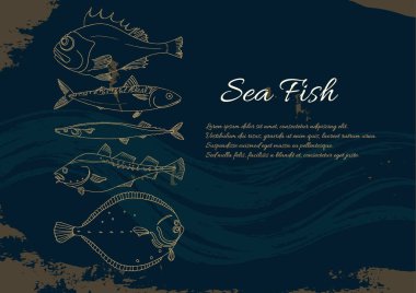 Deniz balığı kümesi şablonu. Levrek, morina, uskumru, dere pisisi, saira. Vektör doodle.