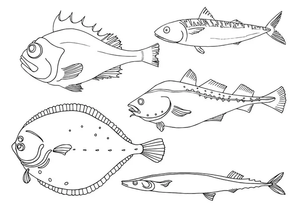Conjunto de peixes marinhos sobre fundo branco. Bacalhau, bacalhau, cavala, linguado, saira. Doodle vetorial . —  Vetores de Stock