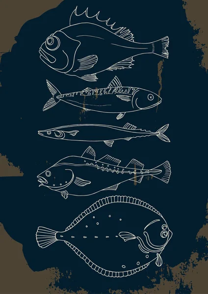 Deniz balığı kümesi. Vektör doodle. 
