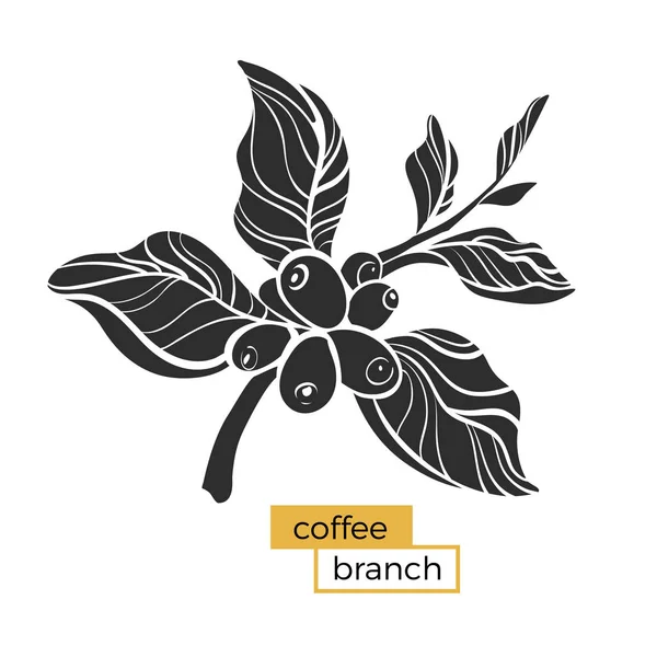Svart gren av kaffe träd med blad och naturliga kaffebönor. Silhouette, form. Vektor — Stock vektor