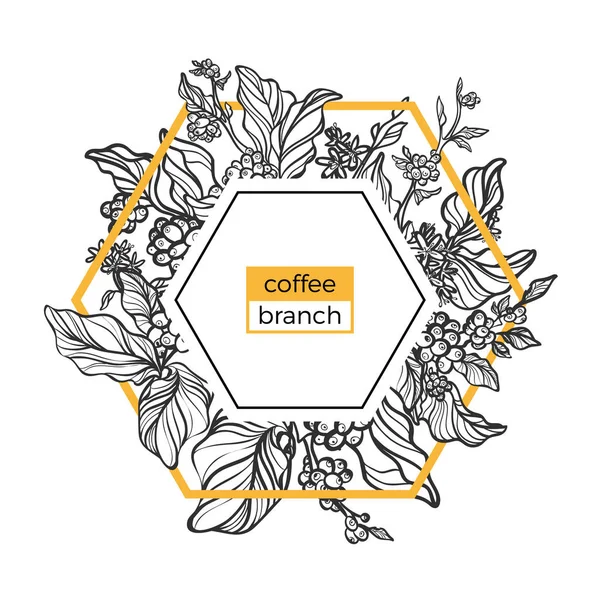 Plantilla de moda. Ramas de café con hojas, flores y granos de café naturales. Vector — Archivo Imágenes Vectoriales