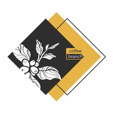 Şablon / Beyaz yaprakları ve doğal kahve çekirdekleri ile kahve ağacı dalı. Vektör 