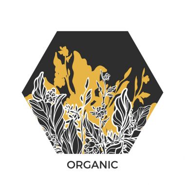 Modaya uygun şablonu. Kahve dalları yaprak, çiçek ve doğal kahve çekirdekleri ile. Vektör