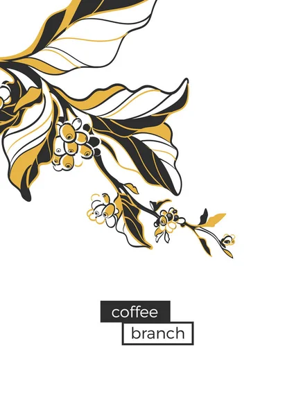 Kaffe gren med blad och kaffebönor. Retrostil, popkonst. VECTO — Stock vektor