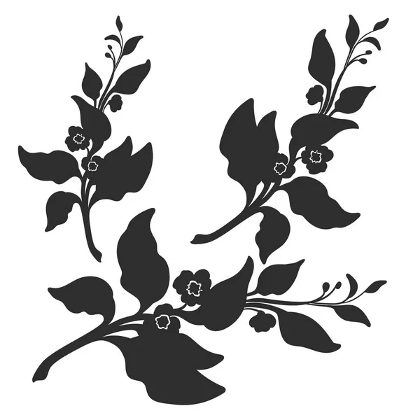Gren av tebusken med blad och blommor. Botaniska illustration. Vektor — Stock vektor