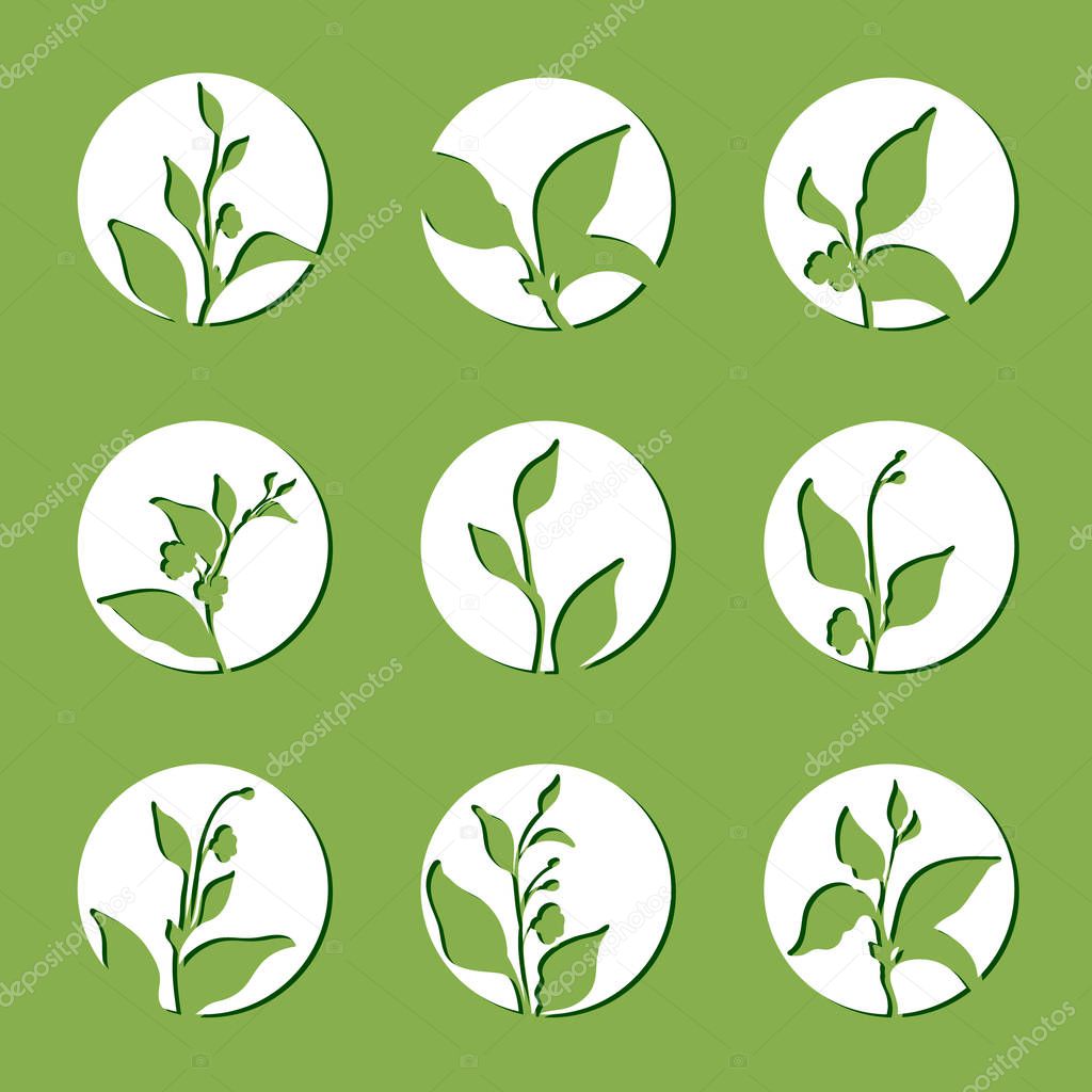 Set of tea bush branches. Vector silhouette in circle isolated on green background