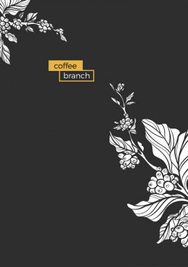 Şablon / Beyaz yaprakları ve doğal kahve çekirdekleri ile kahve ağacı dalı. Vektör çizim