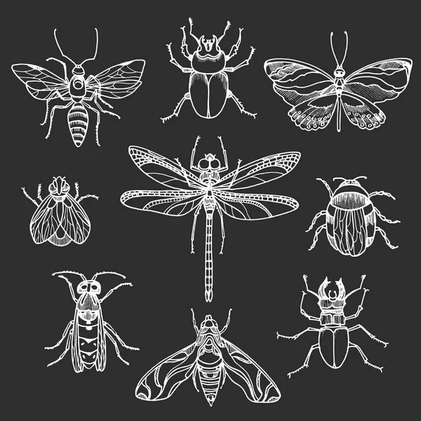 Σετ λευκά έντομα σε μαύρο φόντο. Διάνυσμα σύμβολο — Διανυσματικό Αρχείο