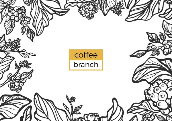 Modèle de branche noire d'arbre à café avec des feuilles et des grains de café naturels. Illustration vectorielle — Image vectorielle