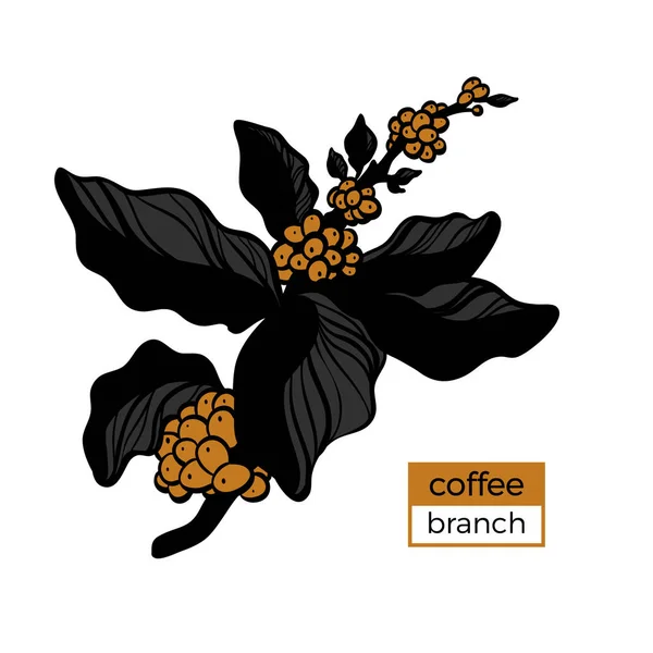 Шаблон цветной ветви кофейного дерева с листьями и натуральными кофейными зёрнами. Векторная иллюстрация — стоковый вектор