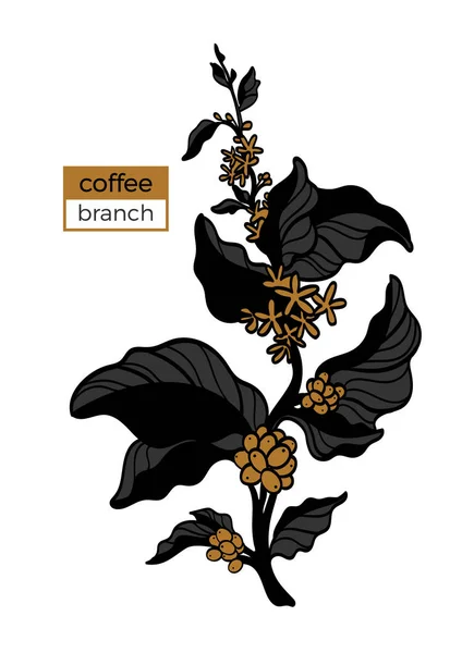Шаблон цветной ветви кофейного дерева с листьями, цветами и натуральными кофейными зёрнами. Векторная иллюстрация — стоковый вектор