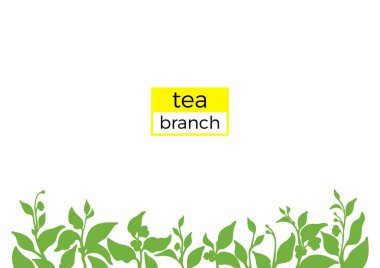 Şablon yeşil çay bush Şubesi /. Doğa illüstrasyon. Vektör