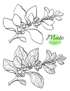 Vektör toplama el dostum dalları çizilmiş. Vektör çizim.