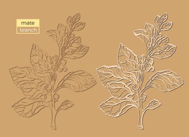 Vektör toplama siluet dostum şube. Şekil vintage kümesi