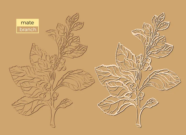 Vektör toplama siluet dostum şube. Şekil vintage kümesi