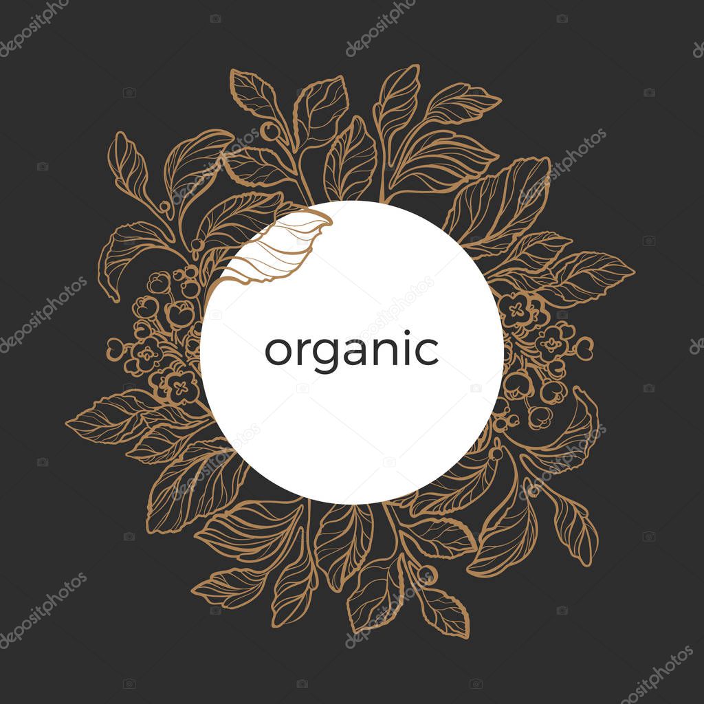 Template of mate branches with leaves, berry and flowers. Vector