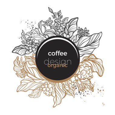 Vektör şablon / kahve