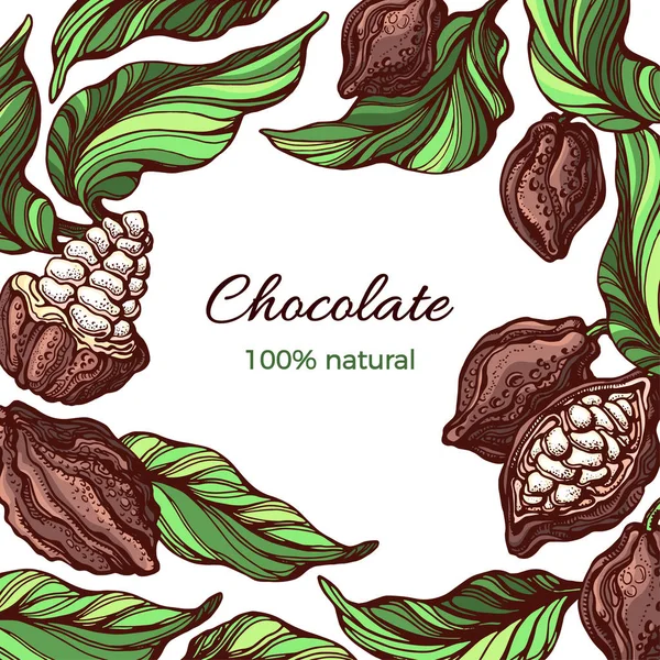 Cornice di Cacao. Modello vettoriale. Illustrazione della natura — Vettoriale Stock