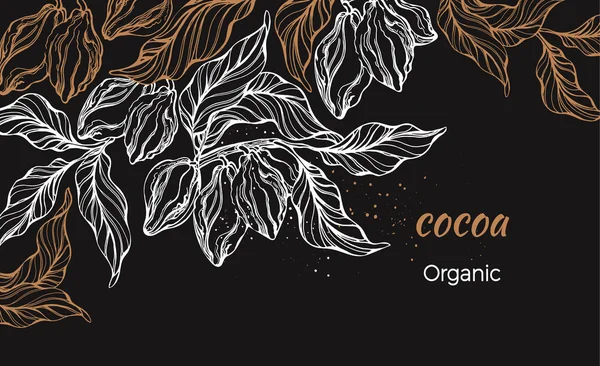 Cocoa. Vector design. Tropical template — ストックベクタ