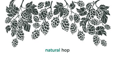 Zıpla bakalım. Vektör botanik sınırı. Biyolojik içecek. Sanat örnekleri, beyaz arka planda doğa örnekleri. Bitki konisi, yaprak, dal. Bira baskısı için basit organik tasarım, bar. 