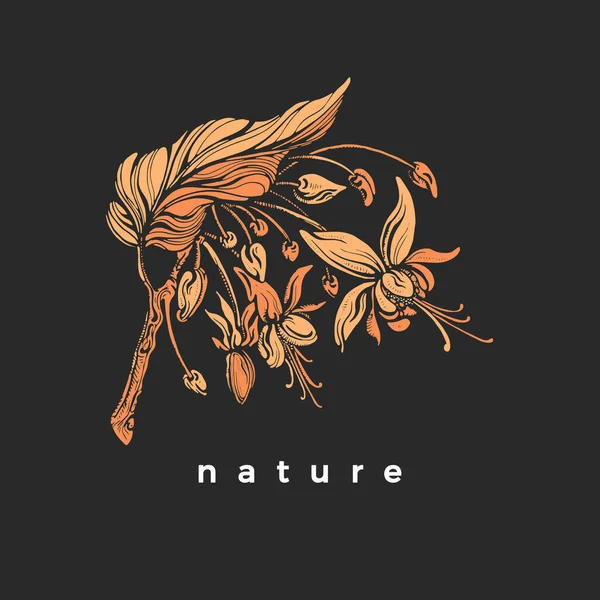 Векторное Какао Листьями Цветущими Цветами Ботаническая Золотая Форма Природный Силуэт — стоковый вектор