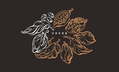 Kakao çemberi sembolü. Vektör grafik ağacı, dal, yaprak, fasulye, meyve. El yapımı tropikal kart, doğa çelengi. Yemek çizimi. Organik doğal çikolata.