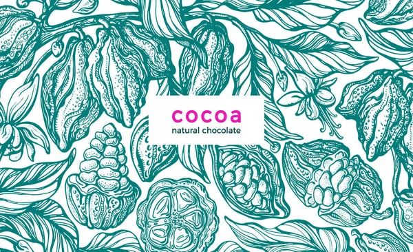 Fondo Cacao Tarjeta Naturaleza Vectorial Árbol Dibujado Mano Frijol Fresco — Vector de stock