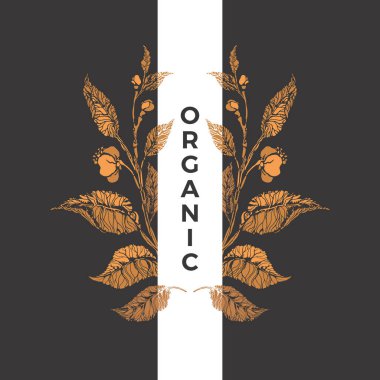 Çiçek sembolü. Vektör çay çalısı, altın tomurcuk, dal, yaprak, çiçek. Klasik organik etiket, grafik kalıp, biyo çerçeve. Yaz bahçesi. Weddind zarif kartı