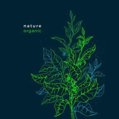 Taze yeşil şablon. Metin için kopyalama alanı olan güzel vektör arkaplanı. Çay çalılığı, orman yaprakları, çiçek, yaprak. Sanat eseri çizilmiş neon çizimi. Organik grafik doku kartı. Karanlık yakın