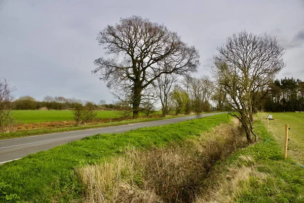 Falu Bedfordshire — Stock Fotó