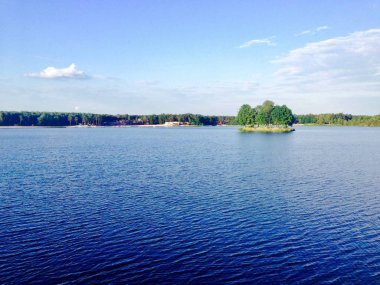 Suda ağaç olan küçük bir ada