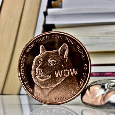 Dogecoin pirinç fiziksel sikke