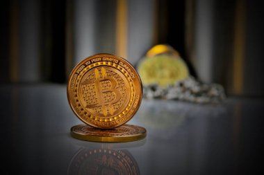 Pirinç bitcoin paraları