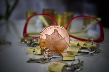 Pirinç dogecoin fiziksel sikke