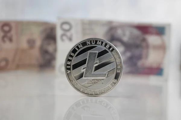 Lehçe para yakınındaki gümüş Litecoin sikke — Stok fotoğraf