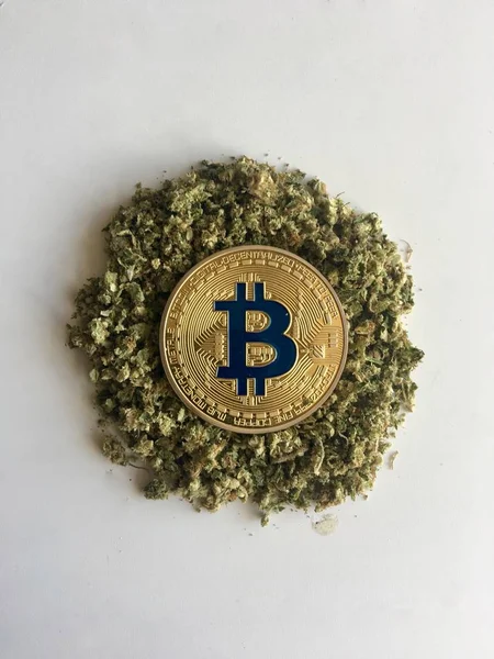 Altın bitcoin sikke